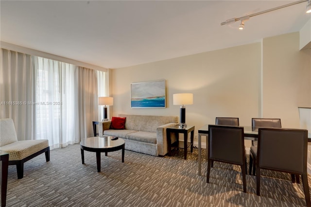 carpeted living room featuring track lighting