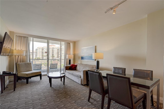 carpeted living room with rail lighting and floor to ceiling windows