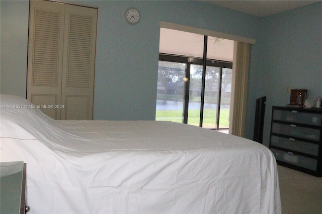 bedroom featuring access to outside, a closet, and a water view