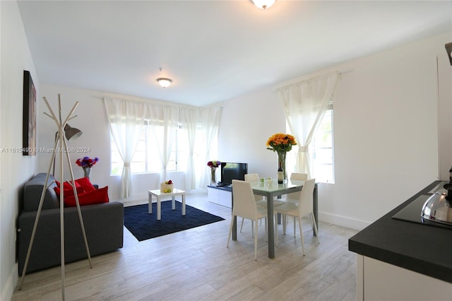 living room with wood-type flooring