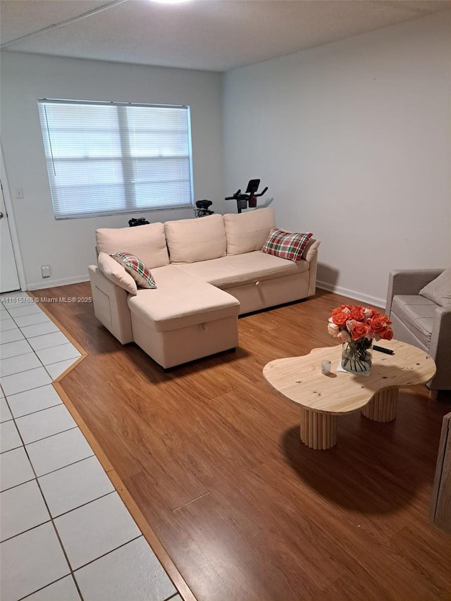 living room featuring light hardwood / wood-style floors