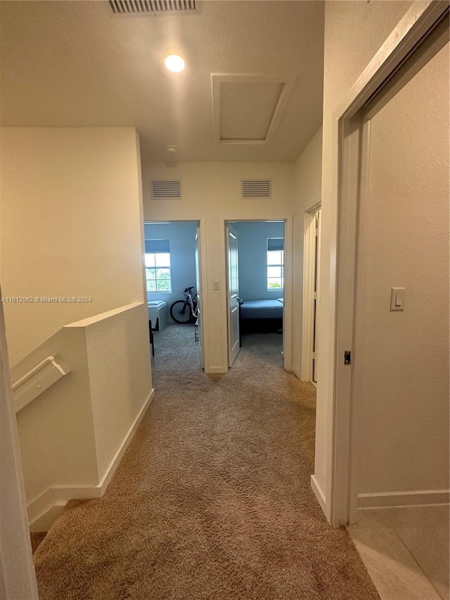 hallway with a wealth of natural light, visible vents, and carpet