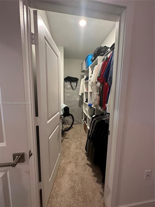 walk in closet featuring light colored carpet