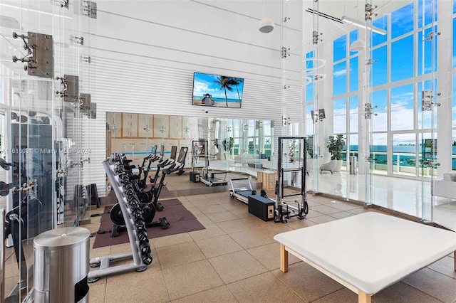 gym featuring a towering ceiling