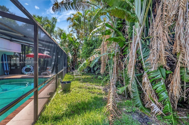 view of yard featuring a patio area and a lanai