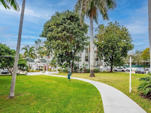 view of home's community with a lawn