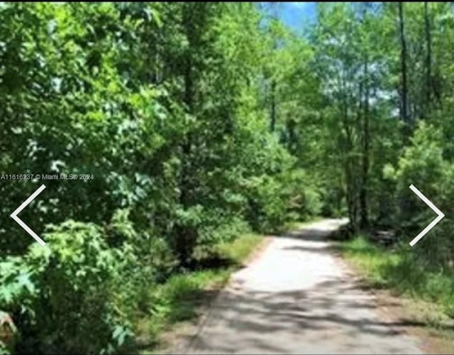 649 Chiimney Rock Rd, ,, GA 31568 - photo 3