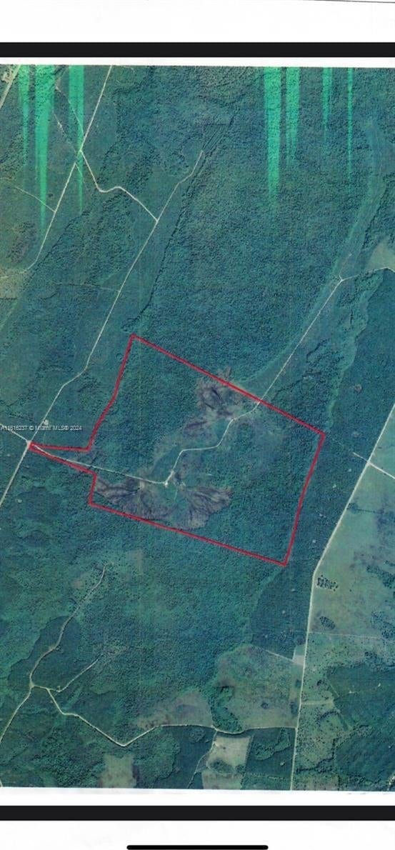 649 Chiimney Rock Rd, ,, GA 31568 - photo 8