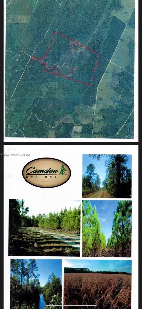 649 Chiimney Rock Rd, ,, GA 31568 - photo 10