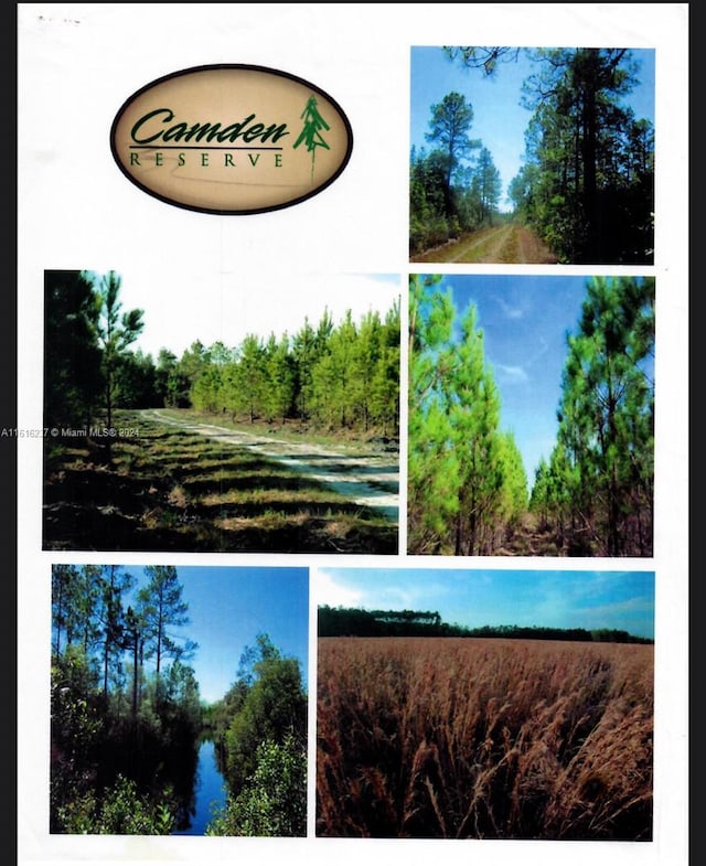 649 Chiimney Rock Rd, ,, GA 31568 - photo 12