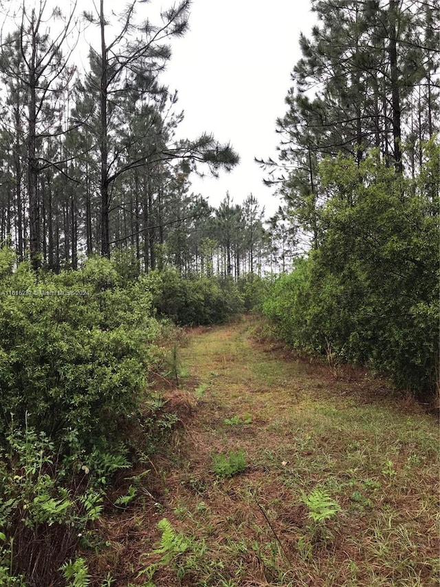 649 Chiimney Rock Rd, ,, GA 31568 - photo 16