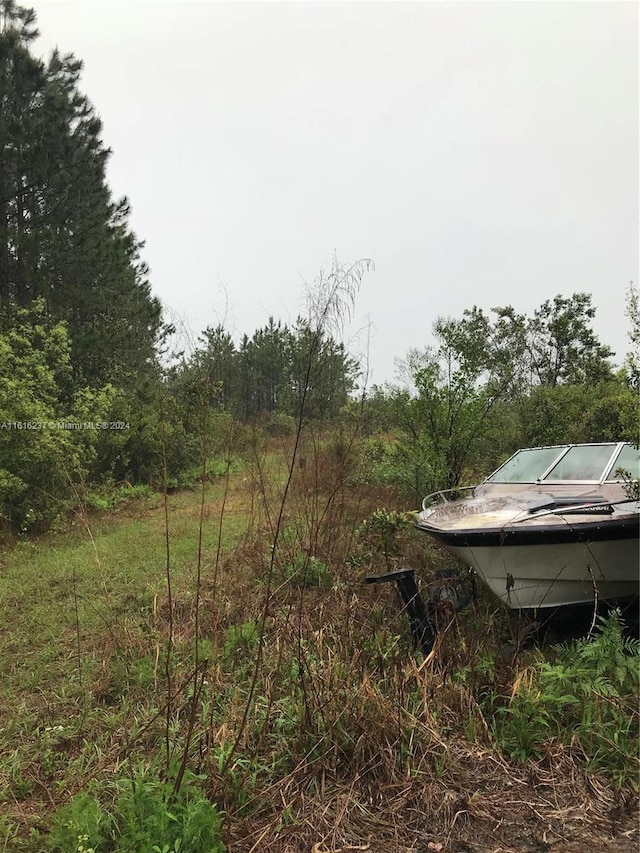 649 Chiimney Rock Rd, ,, GA 31568 - photo 17