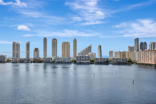 3000 Island Blvd Unit 1406, Aventura, FL 33160 - photo 51