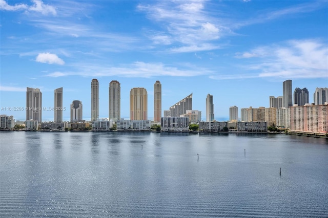 property view of water featuring a city view