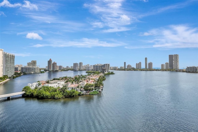 property view of water with a city view