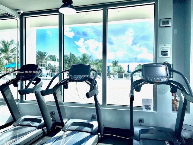 exercise room with plenty of natural light