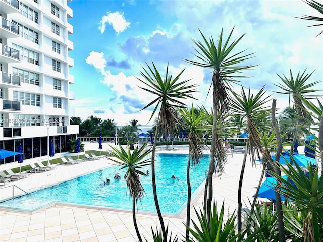 view of swimming pool with a patio