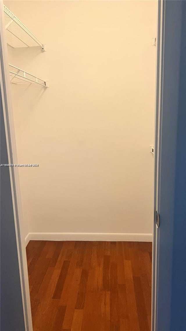 walk in closet with hardwood / wood-style flooring