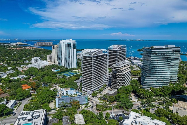 bird's eye view with a water view