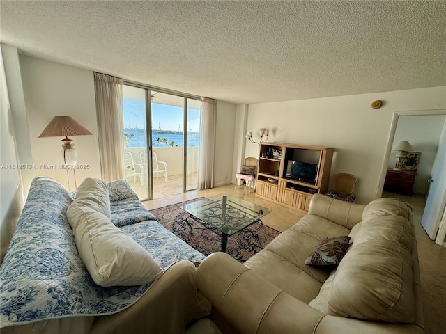 living room with expansive windows and a textured ceiling