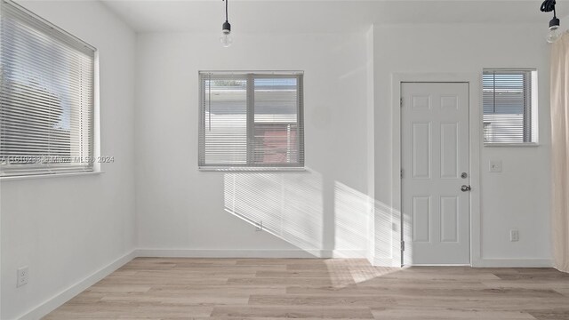 foyer entrance featuring light wood-type flooring