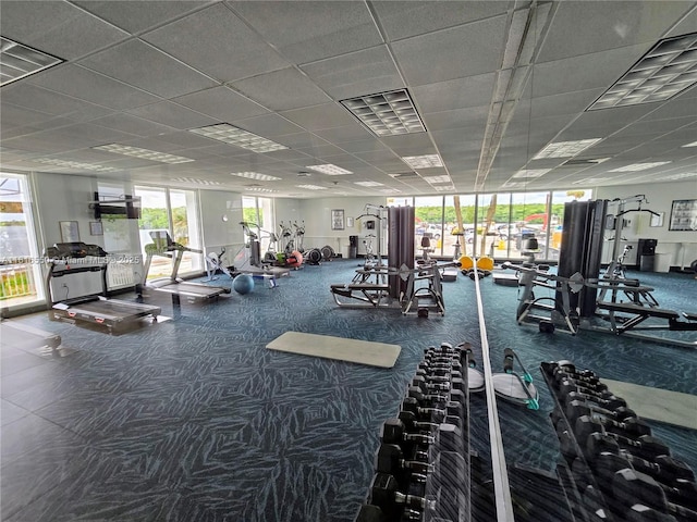 gym featuring plenty of natural light, a wall of windows, and a paneled ceiling