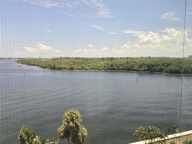 property view of water