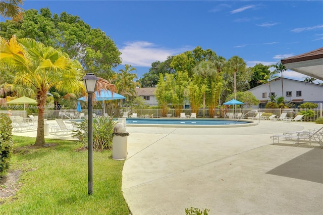 view of pool featuring a patio