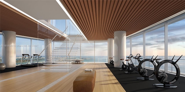 gym featuring expansive windows and hardwood / wood-style flooring