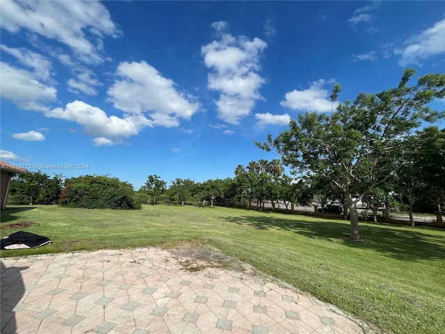 view of yard featuring a patio area