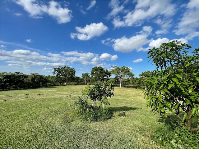 view of yard featuring a rural view