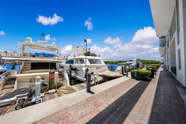 dock area with a water view