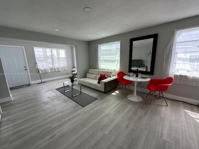 living room with light hardwood / wood-style flooring and a textured ceiling