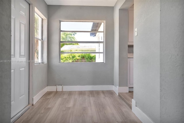 empty room featuring light wood-type flooring and plenty of natural light