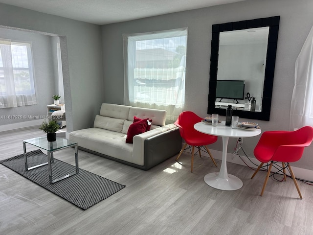 living room with a healthy amount of sunlight, a textured ceiling, and light hardwood / wood-style flooring