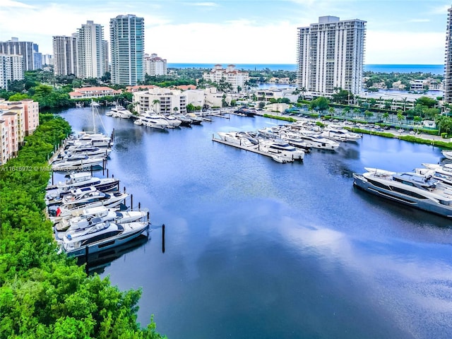 water view featuring a dock