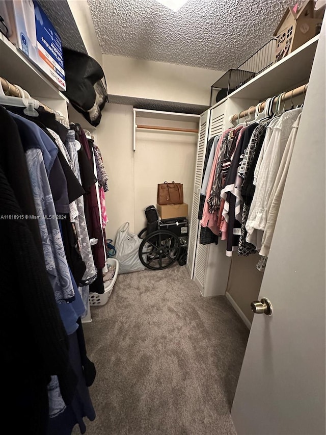 walk in closet featuring carpet