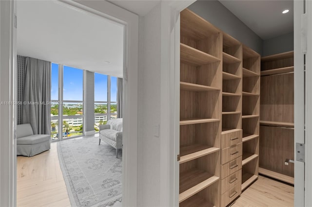 walk in closet with light hardwood / wood-style flooring