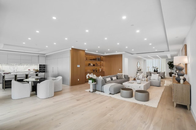 living room featuring light hardwood / wood-style flooring and a raised ceiling