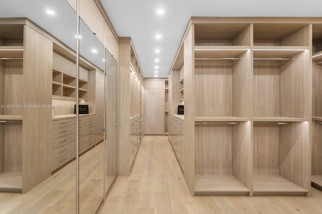 spacious closet featuring light wood-type flooring