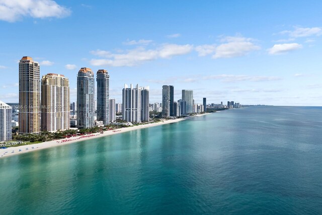 property view of water with a view of the beach