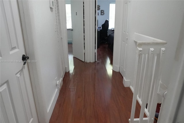 corridor featuring dark wood-type flooring