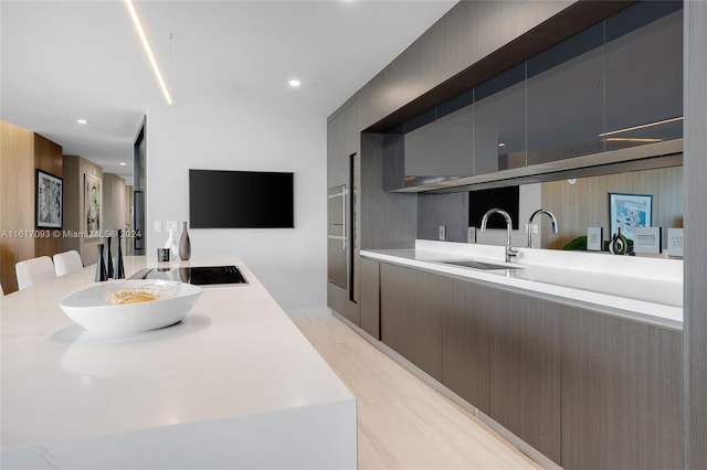 kitchen with light wood-type flooring and sink