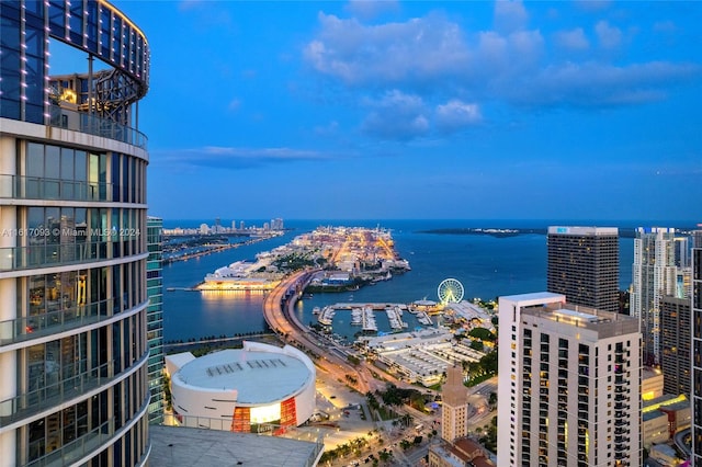 851 NE 1st Ave Ph 5312, Miami, FL 33132 - water view featuring nearby urban area and numerous boat docks