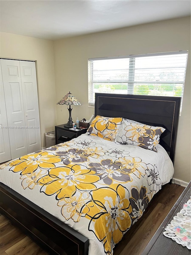 bedroom with dark hardwood / wood-style flooring, a closet, and multiple windows