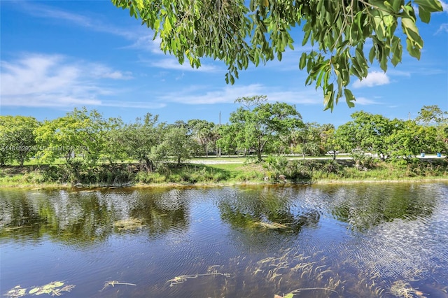 property view of water