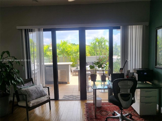 entryway featuring wood finished floors