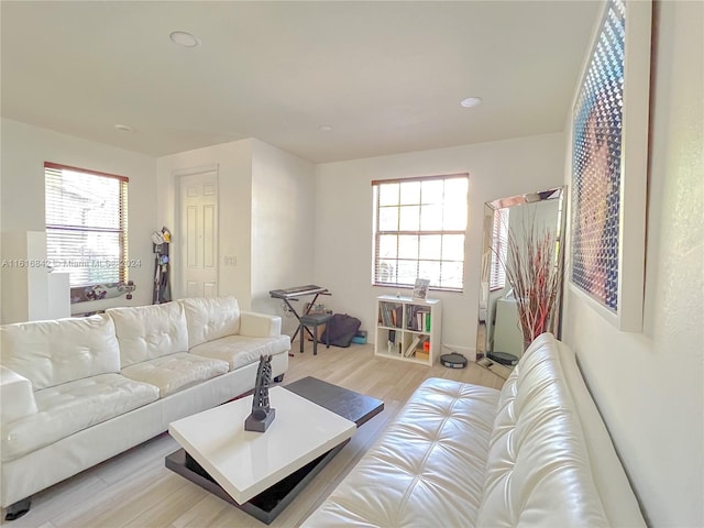 living room featuring plenty of natural light and light hardwood / wood-style flooring