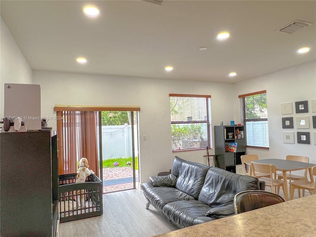 living room featuring light hardwood / wood-style flooring