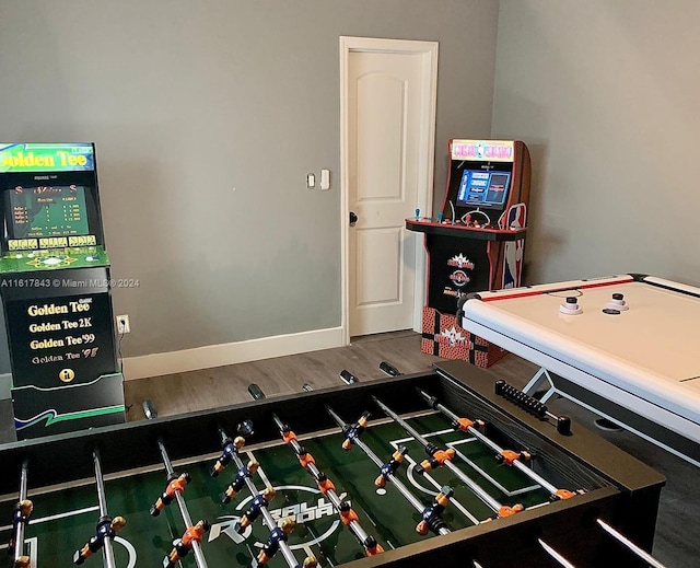 playroom featuring wood-type flooring